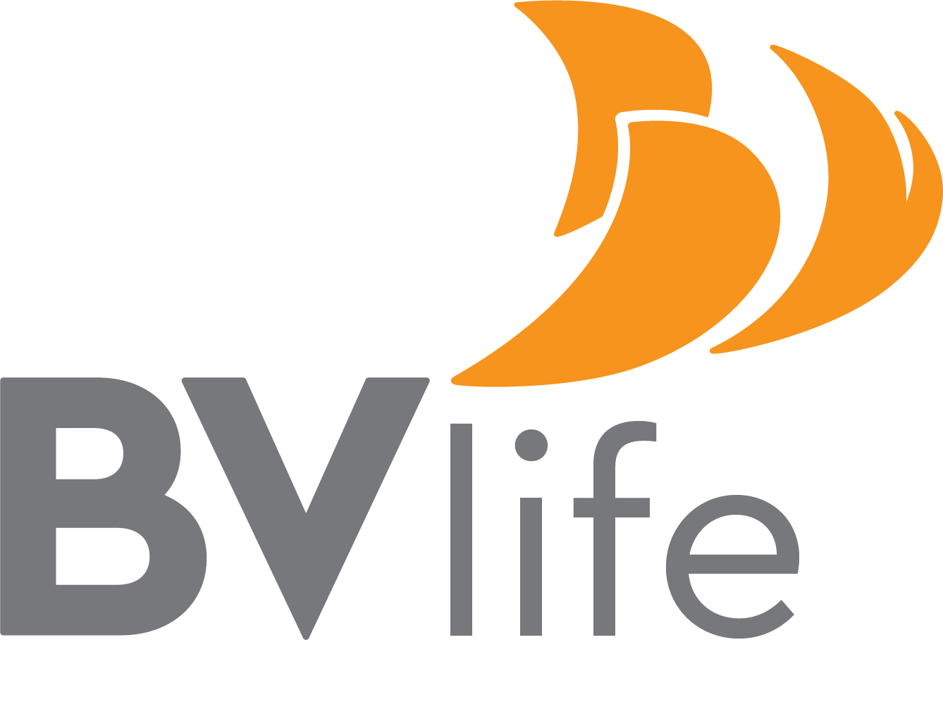 Công ty cổ phần BV Life được thành lập trên nền tảng Vinaconex Mec. BV Life là đơn vị thành viên thuộc Tập đoàn Bách Việt có nhiệm vụ quản lý và triển khai các hoạt động kinh doanh thương mại của Tập đoàn.
